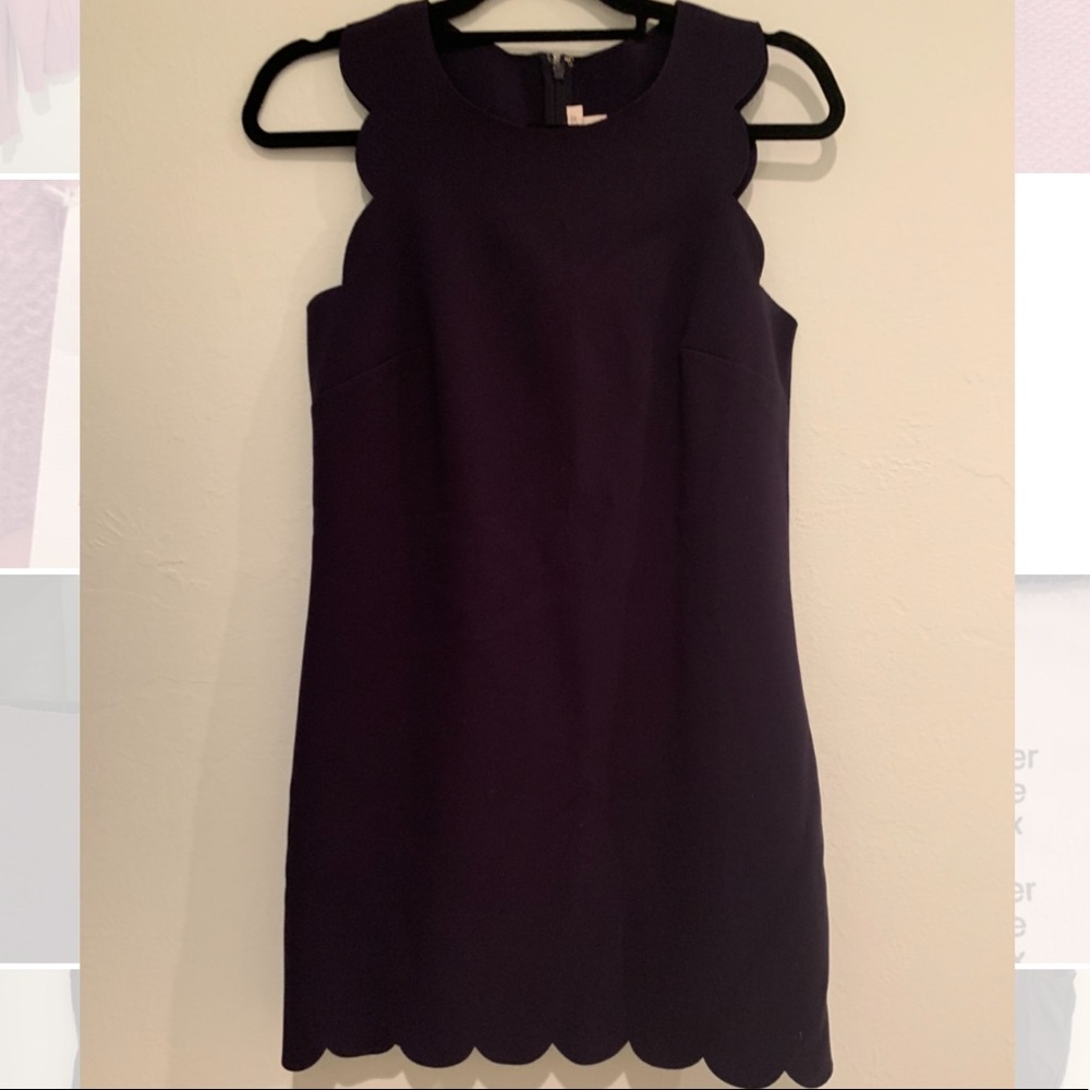 JCrew Navy Scalloped Shift Dress Size 4